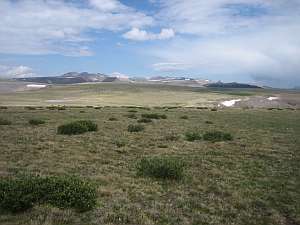 La Garita Palmer Mesa W.